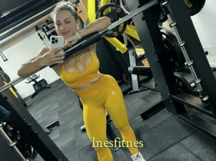 Inesfitnes