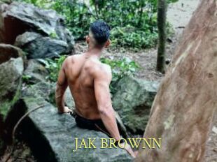 JAK_BROWNN