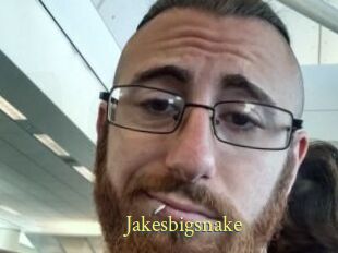 Jakesbigsnake