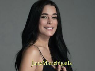 JaneMariebigatla