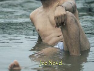 Joe_Novel