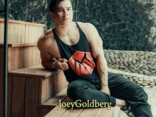 JoeyGoldberg