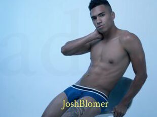 JoshBlomer