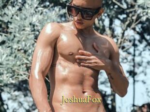 JoshuaFox