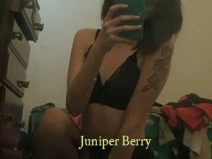 Juniper_Berry