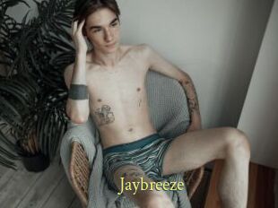 Jaybreeze