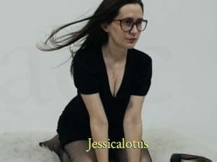 Jessicalotus