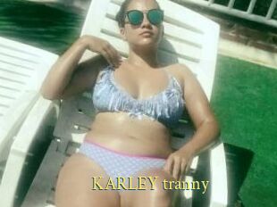 KARLEY_tranny