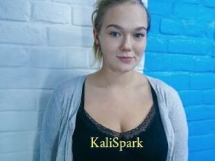 KaliSpark