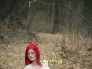 Kerosynee