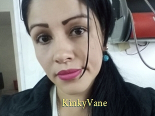 KinkyVane