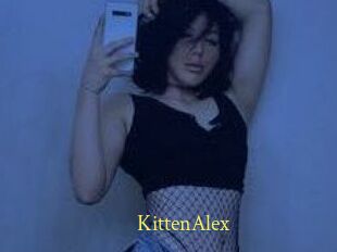 KittenAlex