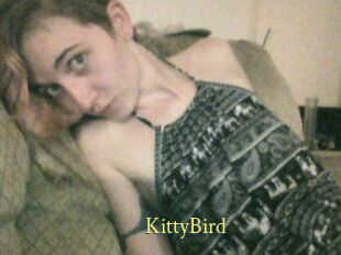 KittyBird