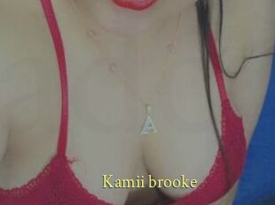 Kamii_brooke