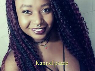 Kannel_passie