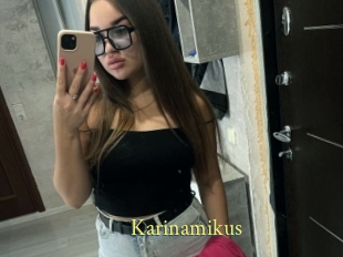 Karinamikus