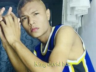 King_david_hot