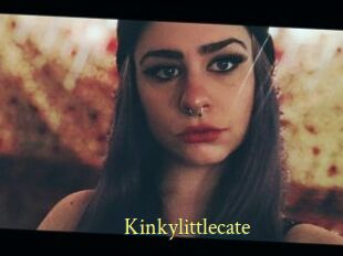 Kinkylittlecate