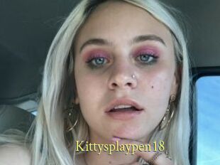 Kittysplaypen18