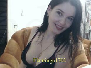 Flamingo1702