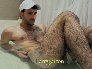 Larrygarzon