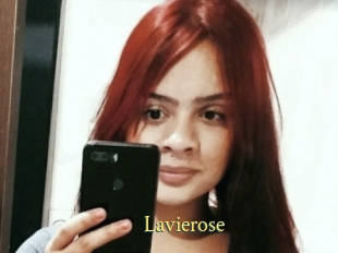 Lavierose