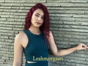 Leahmorgaan