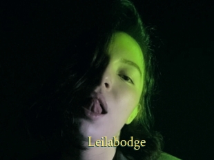 Leilabodge