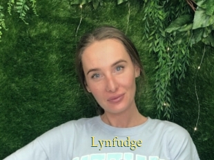 Lynfudge