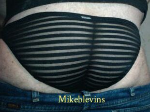 Mikeblevins