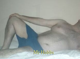 Mr_Hobbs