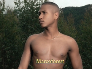 Marcoforest