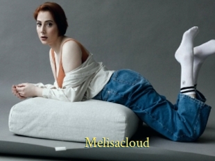 Melisacloud