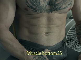 Muscle_bottom25