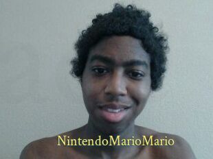 NintendoMarioMario
