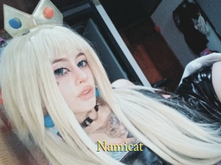 Namicat