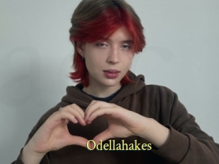 Odellahakes