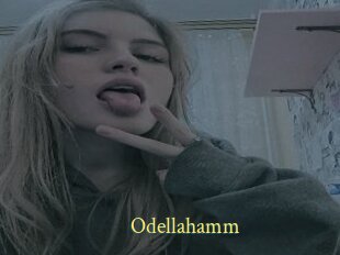 Odellahamm