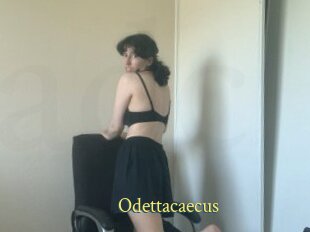 Odettacaecus