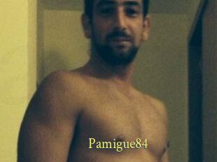 Pamigue84