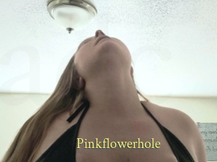 Pinkflowerhole