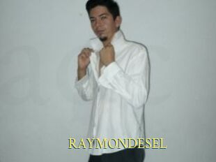 RAYMONDESEL