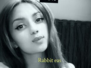 Rabbit_eas