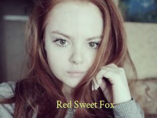 Red_Sweet_Fox