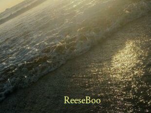 ReeseBoo