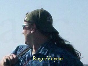 RogueVoyeur