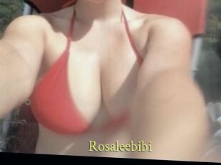 Rosaleebibi