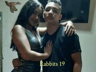 Rabbits_19