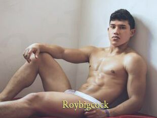 Roybigcock