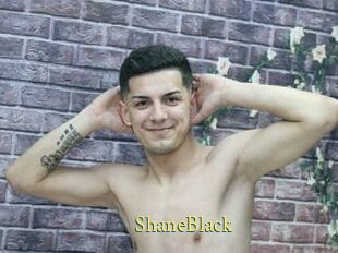 ShaneBlack